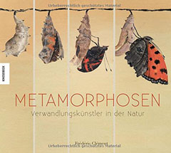 Buchcover "Metamorphosen: Verwandlungskünstler der Natur" von Frédéric Clément