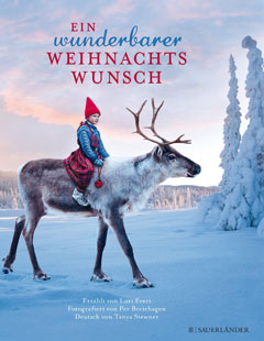 Buchcover "Ein wunderbarer Weihnachtswunsch" von Lori Evert und Per Breiehagen